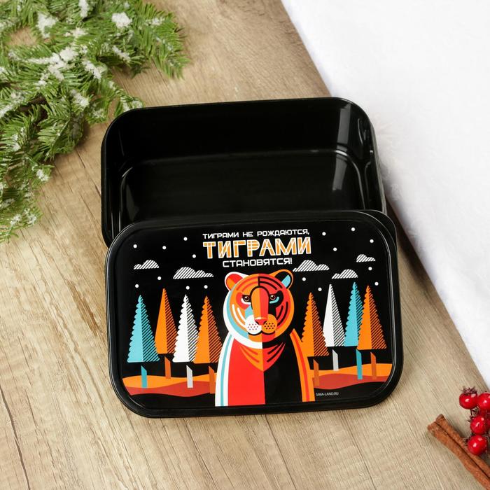 Ланч-бокс «Тиграми становятся», 1,2 л
Ланч-бокс «Тиграми становятся», 1,2 л