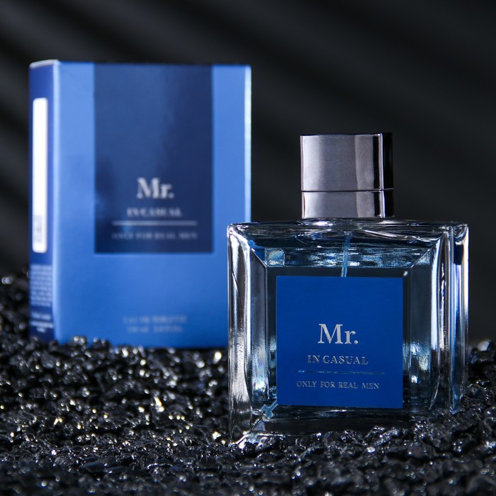 Туалетная вода мужская Mr. In Casual, 100 мл 
Туалетная вода мужская Mr. In Casual, 100 мл