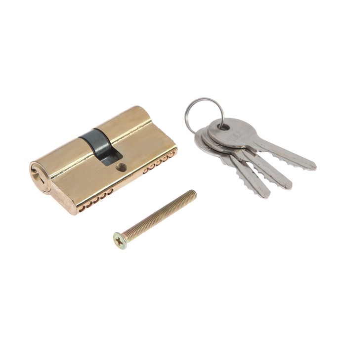 Механизм цилиндровый SOLLER, F3, 60 мм, 3 ключа, латунь, металл, цвет золото
Механизм цилиндровый SOLLER, F3, 60 мм, 3 ключа, латунь, металл, цвет золото