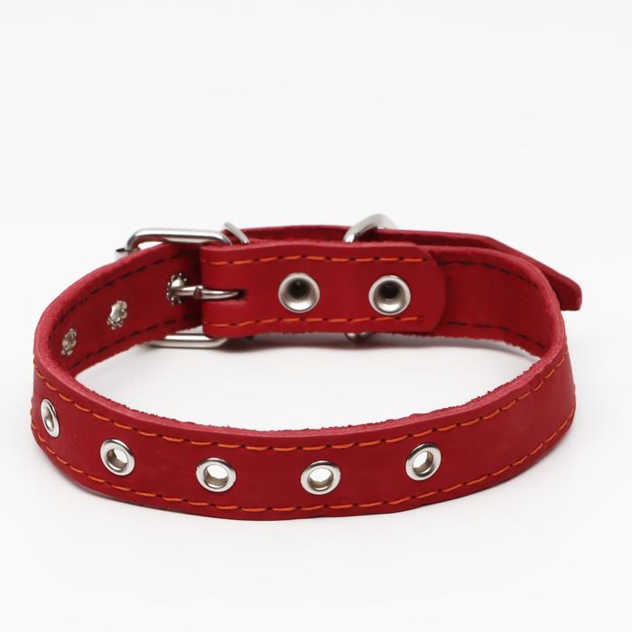 Ошейник кожаный однослойный, безразмерный, 56 х 2.5 см, ОШ 17-44 см, красный
Ошейник кожаный однослойный, безразмерный, 56 х 2.5 см, ОШ 17-44 см, красный