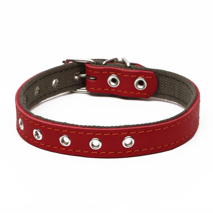 Ошейник комбинированный кожа/брезент, безразмерный, 54 х 2.5 см, ОШ 17-45 см, красный
Ошейник комбинированный кожа/брезент, безразмерный, 54 х 2.5 см, ОШ 17-45 см, красный