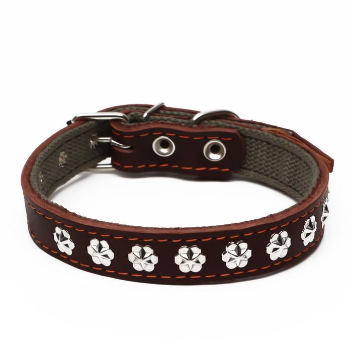 Ошейник комбинированный кожа/брезент, 54 х 2,5 см, украшенный, ОШ 35-45 см, коричневый
Ошейник комбинированный кожа/брезент, 54 х 2,5 см, украшенный, ОШ 35-45 см, коричневый