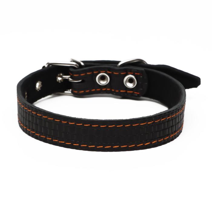 Ошейник кожаный с тиснением на синтепоне, 55 х 2.5 см, ОШ 35-45 см, чёрный
Ошейник кожаный с тиснением на синтепоне, 55 х 2.5 см, ОШ 35-45 см, чёрный