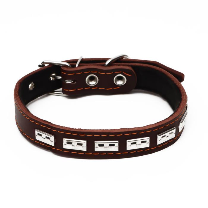 Ошейник кожаный на синтепоне, украшенный, 55 х 2.5 см, ОШ 35-45 см, коричневый
Ошейник кожаный на синтепоне, украшенный, 55 х 2.5 см, ОШ 35-45 см, коричневый