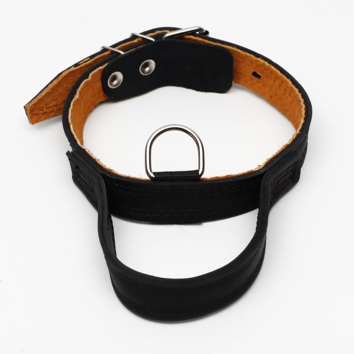 Ошейник кожаный тройной, с ручкой, 57 х 2.5 см, ОШ 35-45 см, чёрный
Ошейник кожаный тройной, с ручкой, 57 х 2.5 см, ОШ 35-45 см, чёрный