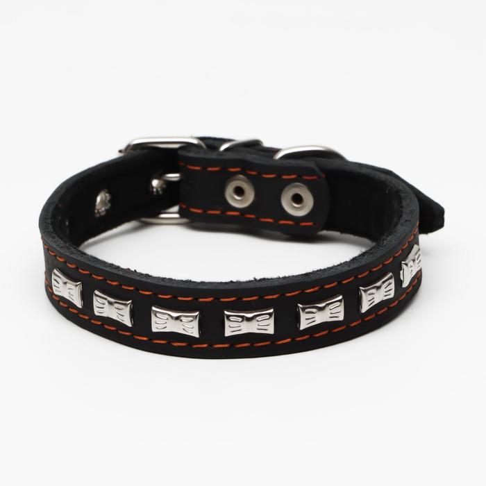 Ошейник кожаный на синтепоне украшенный, 45 х 2 см, ОШ 25-35 см, чёрный
Ошейник кожаный на синтепоне украшенный, 45 х 2 см, ОШ 25-35 см, чёрный