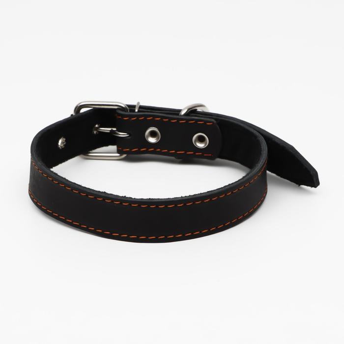 Ошейник кожаный на синтепоне, 65 х 3 см, ОШ 40-55 см, чёрный
Ошейник кожаный на синтепоне, 65 х 3 см, ОШ 40-55 см, чёрный