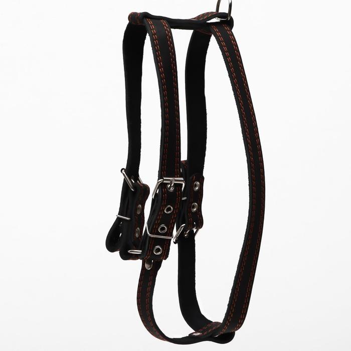 Шлейка кожаная "Прогулочная", 2,5 см, ОШ 57-76 см, ОГ 74-84 см, чёрная 
Шлейка кожаная "Прогулочная", 2,5 см, ОШ 57-76 см, ОГ 74-84 см, чёрная