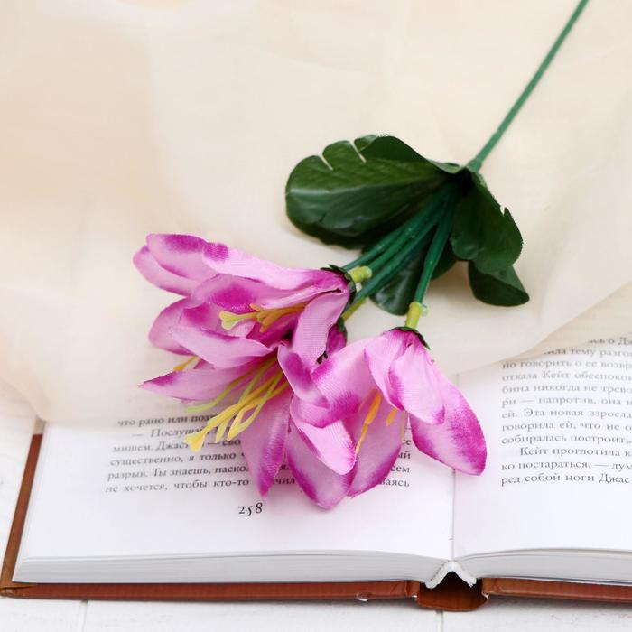 Букет "Нежный" 20 см, микс
Букет "Нежный" 20 см, микс