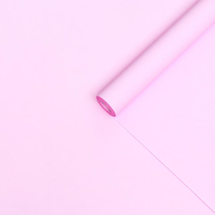 Бумага упаковочная крафтовая, двухсторонняя, нежно-сиреневая, 0,55 х 10 м
Бумага упаковочная крафтовая, двухсторонняя, нежно-сиреневая, 0,55 х 10 м