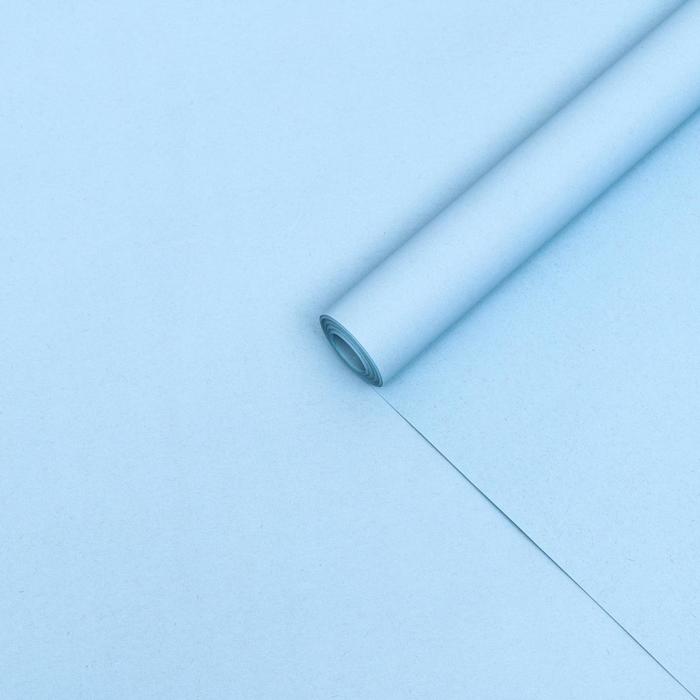 Бумага упаковочная крафтовая, двухсторонняя, голубая, 0,6 х 10 м
Бумага упаковочная крафтовая, двухсторонняя, голубая, 0,6 х 10 м