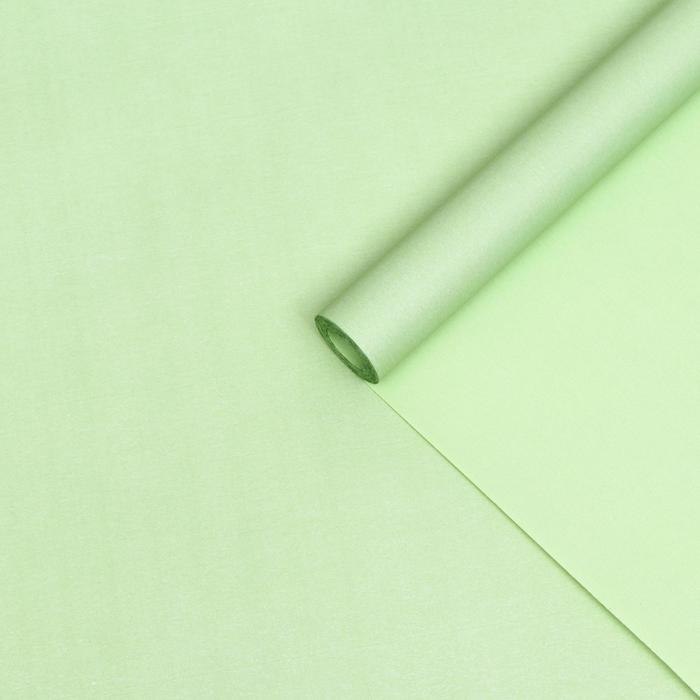 Бумага упаковочная крафт, двухсторонняя, фисташковая, 0,55 х 10 м
Бумага упаковочная крафт, двухсторонняя, фисташковая, 0,55 х 10 м