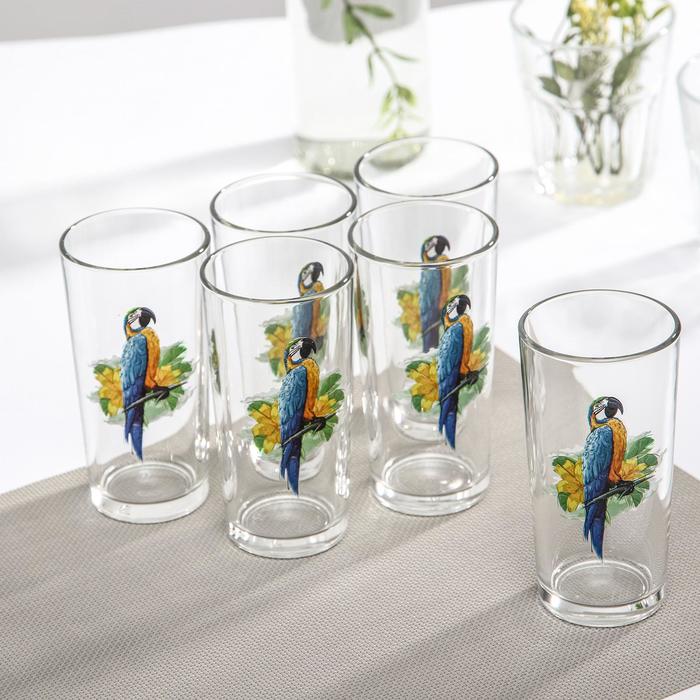 Набор высоких стаканов «Тропики», 230 мл, 6 шт
Набор высоких стаканов «Тропики», 230 мл, 6 шт