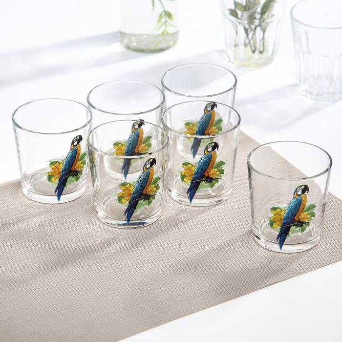 Набор низких стаканов «Тропики», 250 мл, 6 шт
Набор низких стаканов «Тропики», 250 мл, 6 шт