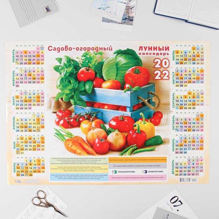 Календарь листовой А2 "Садовый 2022 - 3"
Календарь листовой А2 "Садовый 2022 - 3"