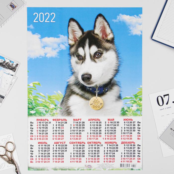 Календарь листовой А3 "Собаки 2022 - 2"
Календарь листовой А3 "Собаки 2022 - 2"