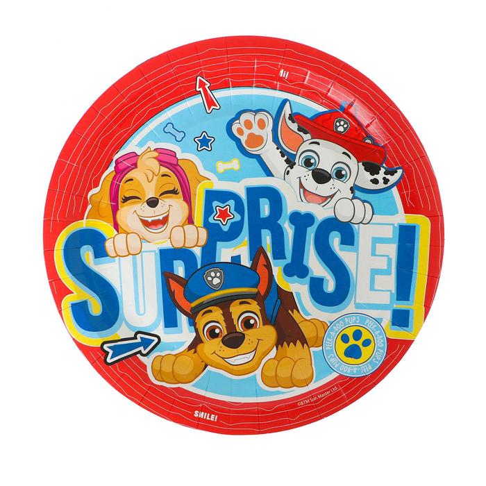 Тарелка бумажная «Щенячий патруль», 18 см, набор 6 шт.
Тарелка бумажная «Щенячий патруль», 18 см, набор 6 шт.