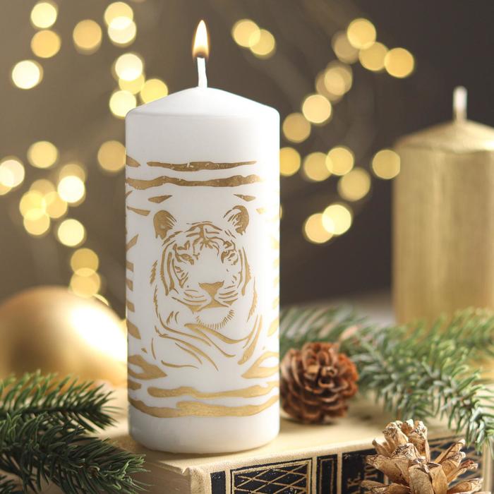Свеча - цилиндр новогодняя "Тигр в узорах", 5х12 см, белая с золотым
Свеча - цилиндр новогодняя "Тигр в узорах", 5х12 см, белая с золотым