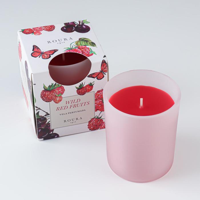 Свеча ароматическая в стакане ROURA "Ягоды и фрукты", 8,5х7 см
Свеча ароматическая в стакане ROURA "Ягоды и фрукты", 8,5х7 см