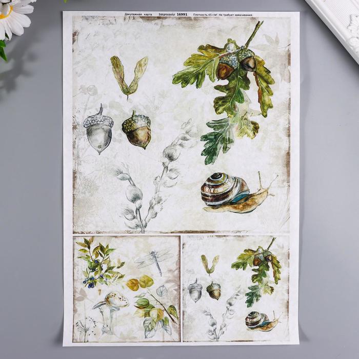 Декупажная карта "Улиточка" плотность 45г/м2 формат А10
Декупажная карта "Улиточка" плотность 45г/м2 формат А10