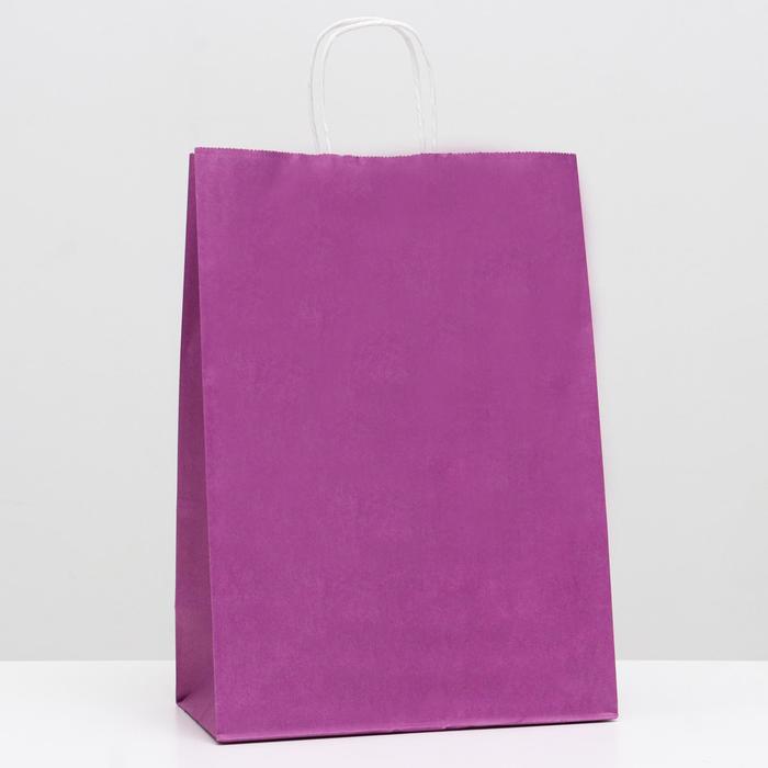 Пакет крафт сиреневый, 22 х 12 х 32 см
Пакет крафт сиреневый, 22 х 12 х 32 см