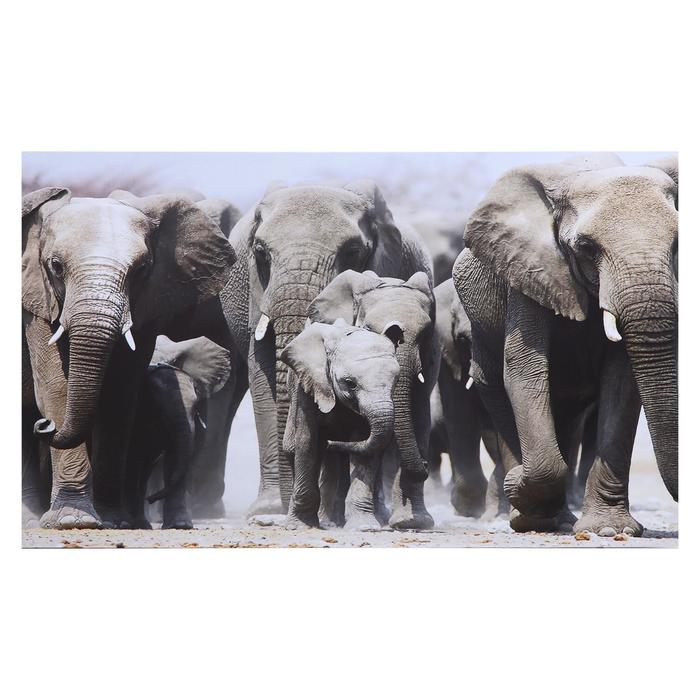 Картина на холсте "Семья слонов" 60х100 см
Картина на холсте "Семья слонов" 60х100 см