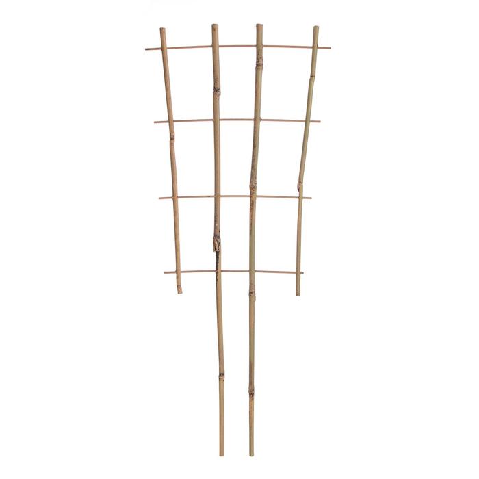 Шпалера, 65 × 25 × 1 см, бамбук, «Тройная», Greengo
Шпалера, 65 × 25 × 1 см, бамбук, «Тройная», Greengo