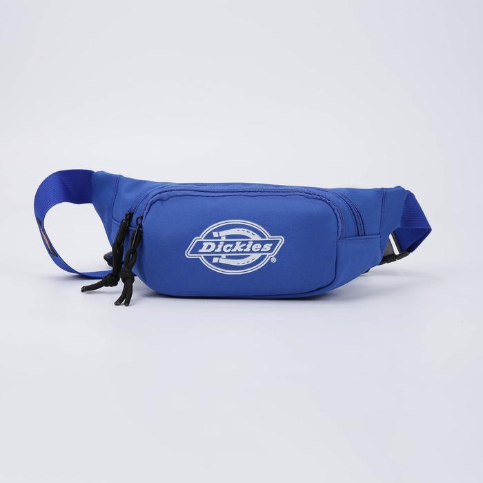 Сумка поясная на молнии, наружный карман, цвет синий
Сумка поясная на молнии, наружный карман, цвет синий