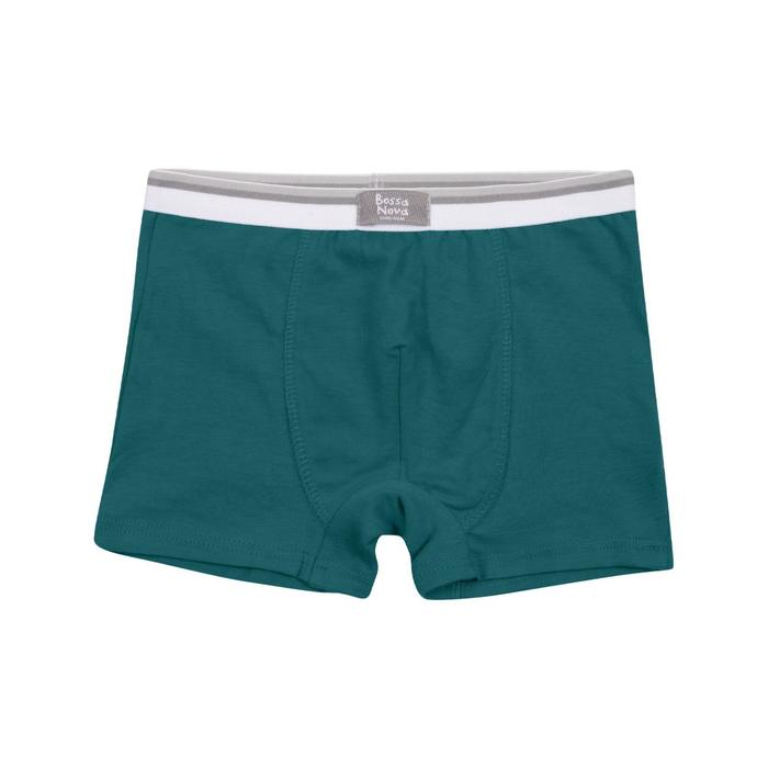Трусы-боксеры для мальчика «Basic», рост 146-152 см, цвет зелёный
Трусы-боксеры для мальчика «Basic», рост 146-152 см, цвет зелёный