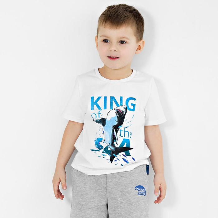 Футболка для мальчика, рост 104 см, цвет белый
Футболка для мальчика, рост 104 см, цвет белый