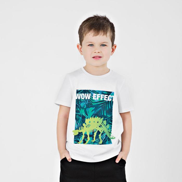 Футболка для мальчика, рост 116 см, цвет белый 
Футболка для мальчика, рост 116 см, цвет белый