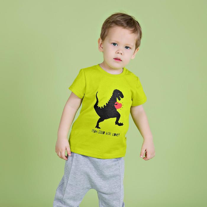 Футболка для мальчика, рост 92 см, цвет салатовый
Футболка для мальчика, рост 92 см, цвет салатовый