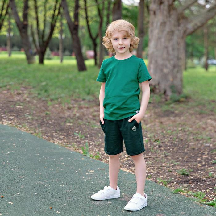 Шорты для мальчика «Basic», рост 116 см, цвет зелёный
Шорты для мальчика «Basic», рост 116 см, цвет зелёный