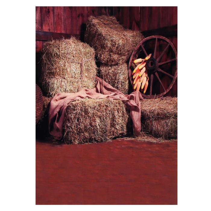 Фотофон винил "Стоги сена и колесо" 210х150 см
Фотофон винил "Стоги сена и колесо" 210х150 см