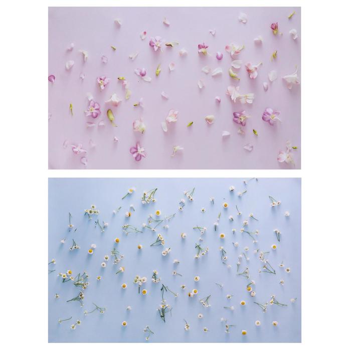 Фотофон двусторонний бумага 300 гр "Цветочный гербарий" 57х87 см
Фотофон двусторонний бумага 300 гр "Цветочный гербарий" 57х87 см