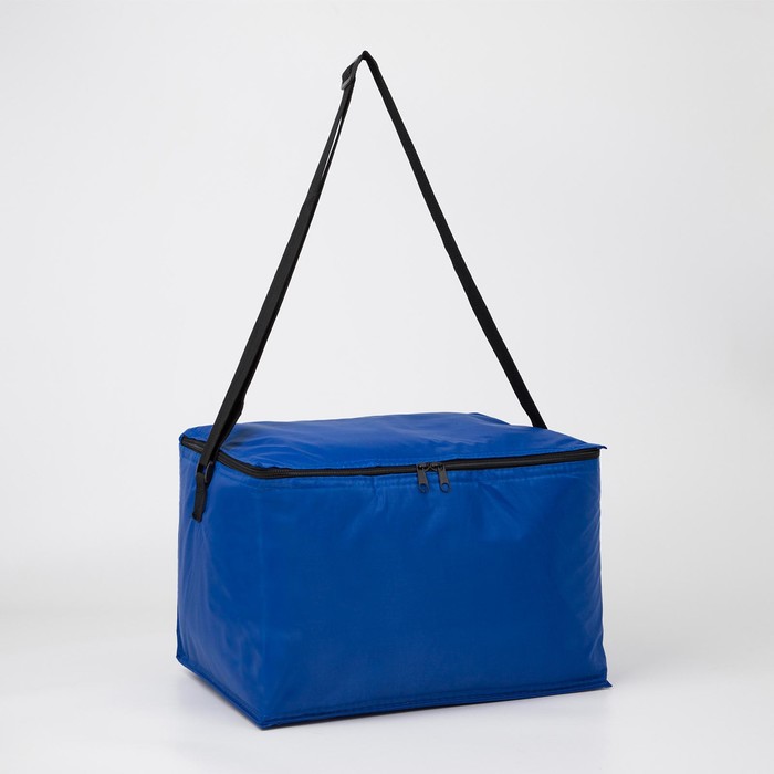 Термосумка на молнии 18,5 л, цвет синий
Термосумка на молнии 18,5 л, цвет синий