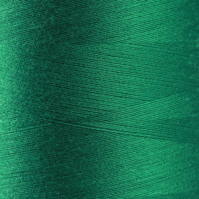 Нитки 50/2, №140, 5000 м, цвет тёмно-зелёный №1219
Нитки 50/2, №140, 5000 м, цвет тёмно-зелёный №1219