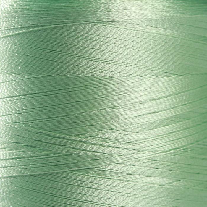 Нитки для вышивания №130, 5000 м, цвет мятный №1405
Нитки для вышивания №130, 5000 м, цвет мятный №1405