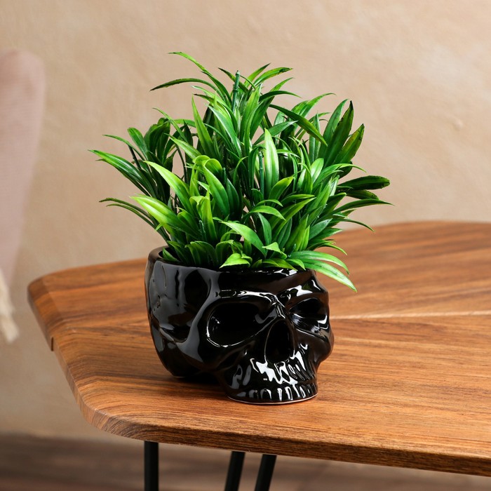 Фигурное кашпо "Череп", чёрное, керамика, 0.35 л
Фигурное кашпо "Череп", чёрное, керамика, 0.35 л