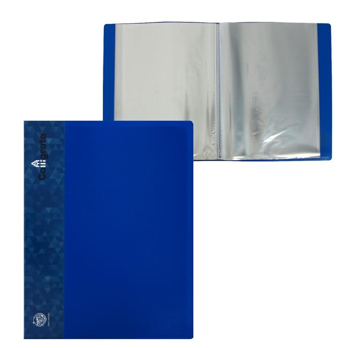 Папка с 80 вкладышами А4, 700 мкм, Calligrata, карман на корешке, синяя
Папка с 80 вкладышами А4, 700 мкм, Calligrata, карман на корешке, синяя