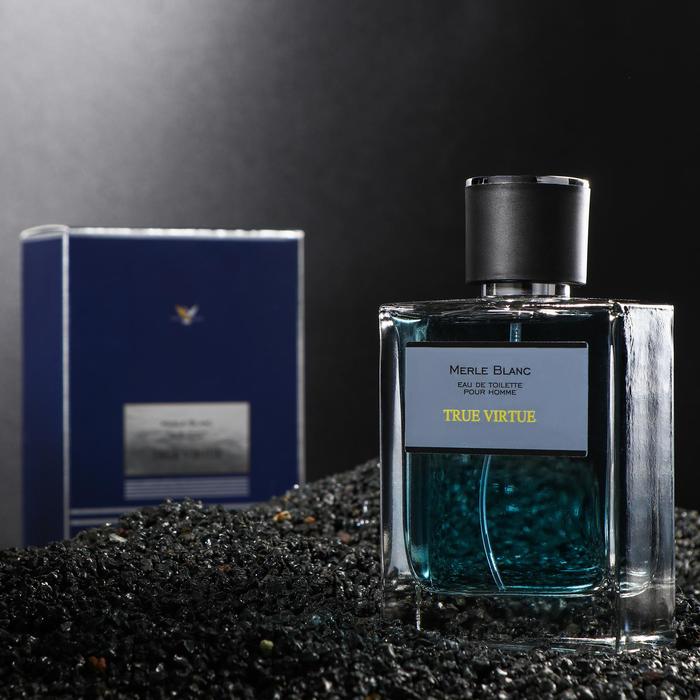 Туалетная вода мужская Merle blanc TRUE VIRTUE, 100 мл
Туалетная вода мужская Merle blanc TRUE VIRTUE, 100 мл