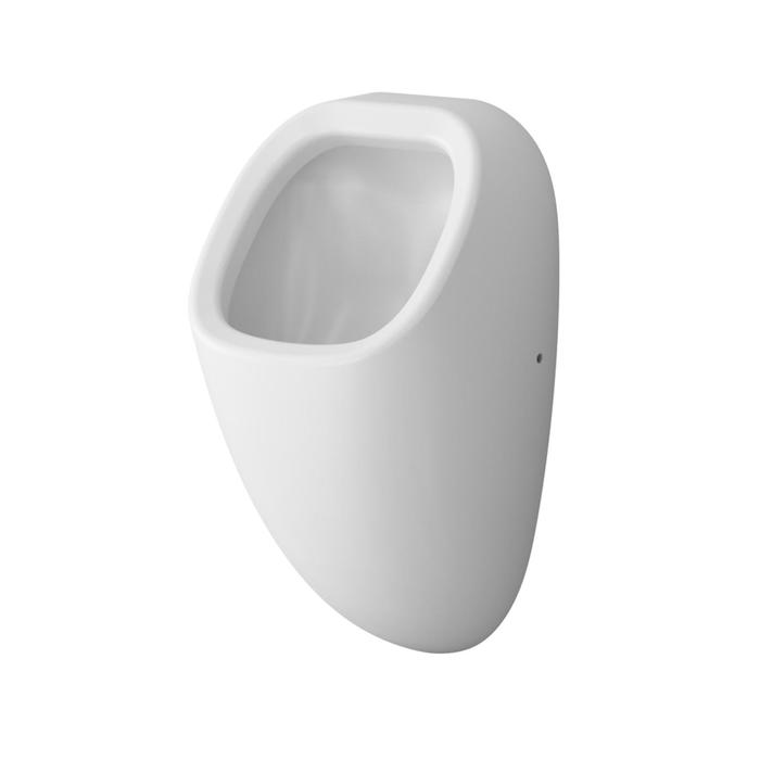 Писсуар AM.PM Spirit 2.0 C707005WP, скрытый подвод воды, с декором, белый глянец
Писсуар AM.PM Spirit 2.0 C707005WP, скрытый подвод воды, с декором, белый глянец