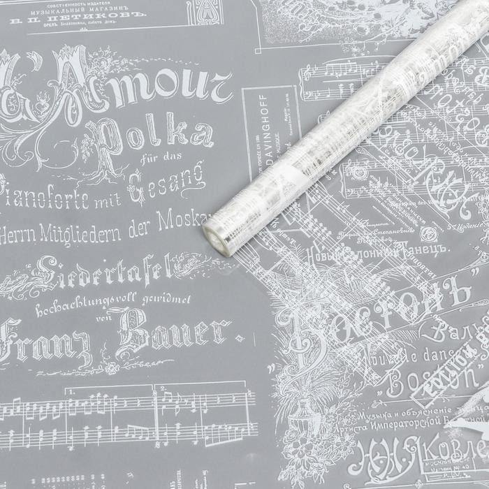 Пленка прозрачная "Музыкальная", белый, 0,7 х 8,2 м, 200 г
Пленка прозрачная "Музыкальная", белый, 0,7 х 8,2 м, 200 г