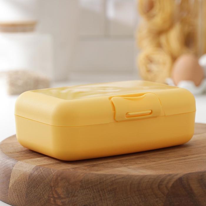 Ланч-бокс Start, 700 мл, цвет жёлтый
Ланч-бокс Start, 700 мл, цвет жёлтый