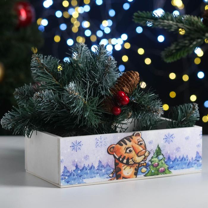 Кашпо деревянное "Символ года 2022. Тигр с ёлочкой" 24х14х9 см
Кашпо деревянное "Символ года 2022. Тигр с ёлочкой" 24х14х9 см