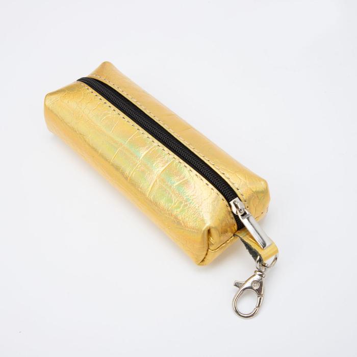 Ключница на молнии, длина 13 см, металлическое кольцо, цвет золотистый
Ключница на молнии, длина 13 см, металлическое кольцо, цвет золотистый