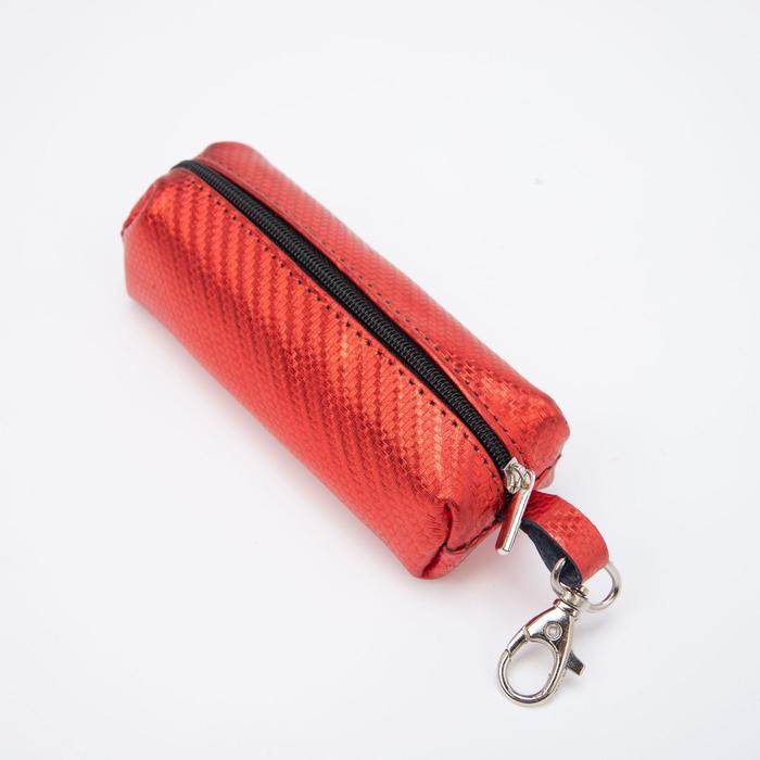 Ключница на молнии, длина 13 см, металлическое кольцо, цвет красный
Ключница на молнии, длина 13 см, металлическое кольцо, цвет красный