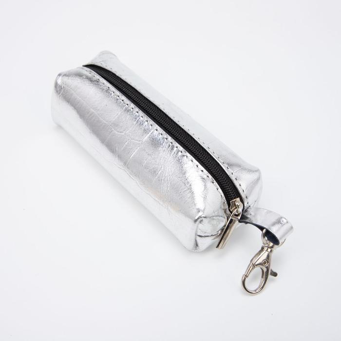 Ключница на молнии, длина 13 см, металлическое кольцо, цвет серебристый
Ключница на молнии, длина 13 см, металлическое кольцо, цвет серебристый