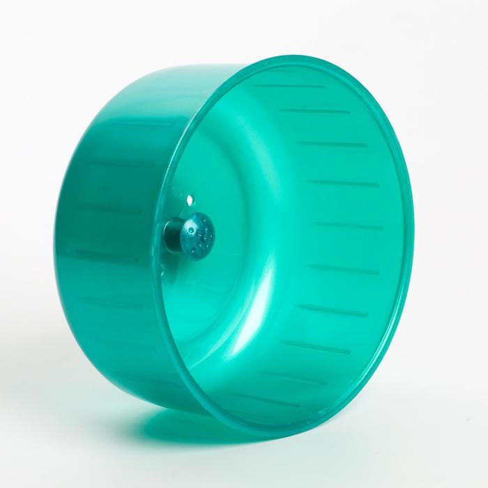 Колесо для грызунов полузакрытое, без подставки, 13,5 см, бирюзовый перламутр
Колесо для грызунов полузакрытое, без подставки, 13,5 см, бирюзовый перламутр