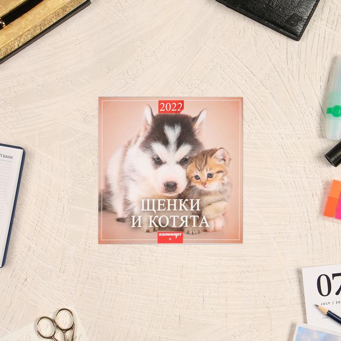 Календарь перекидной на скрепке "Щенки и котята" 2022 год, 285х285 мм
Календарь перекидной на скрепке "Щенки и котята" 2022 год, 285х285 мм